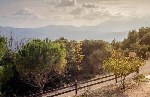 CHALET REGINA - Foto 30