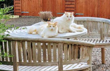 Sound of Durnamuck - Foto 124