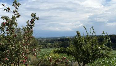 Ferienwohnung Weitblick nahe Göttingen - Photo 4