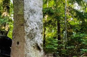 Królewna Śnieżka - Foto 22