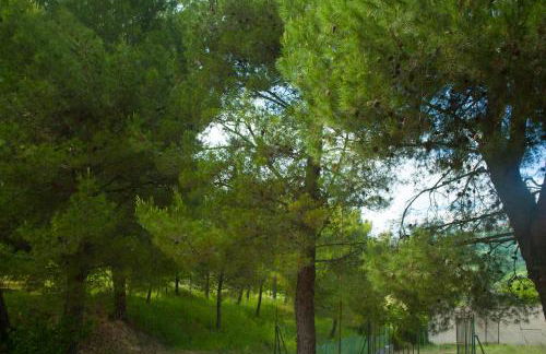 Casa vacanze a Rubbianello - Foto 4