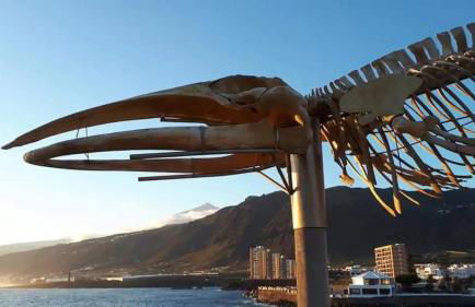 Suite Bufadero - Foto 69