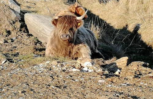 The Fisherman's Snug self catering North Uist - Foto 53