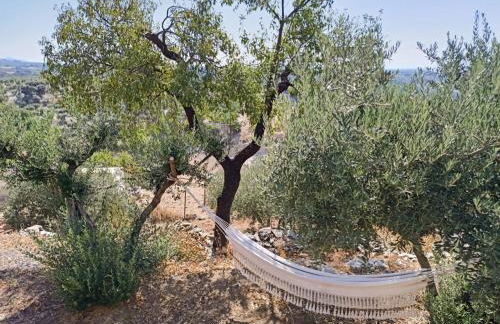 El Almendro de Fuentes Nuevas - Foto 39