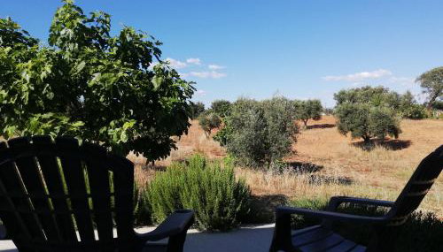 Burrico D`Orada - Rural Stays & Wine Country Tours - Foto 5