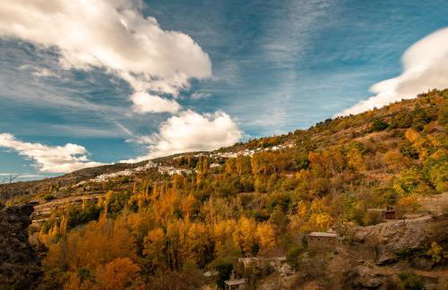 Alojamientos Rurales Los Macabes - Foto 40