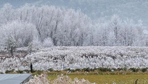 villa relax with swimming pool and mountain view - Foto 3