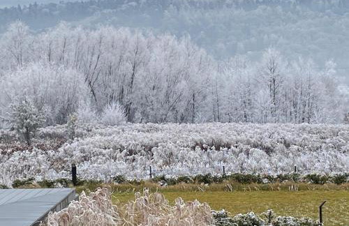 villa relax with swimming pool and mountain view - Foto 3