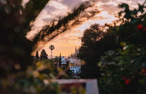 Ohliving Alcazar - Foto 27