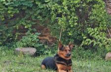 Dom Gościnny Zarembianka - Foto 36