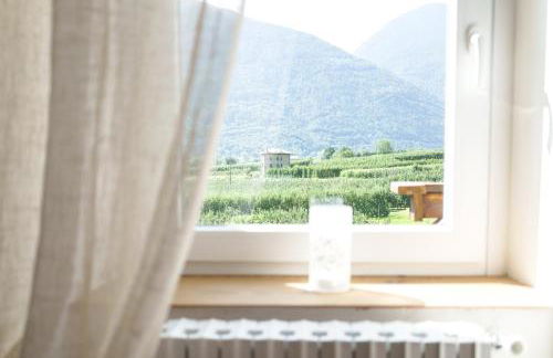 Revo Aparments - Flowery Cottage Appartamento GLICINE - Foto 22