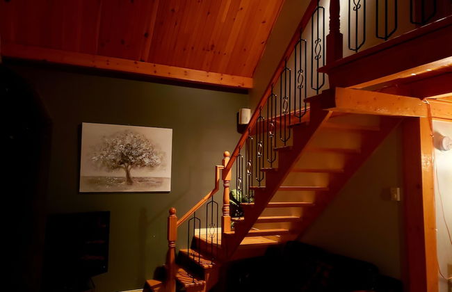 Le Givre des bois - Foto 16