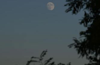 Hotel Relais Santa Genoveffa - Foto 19