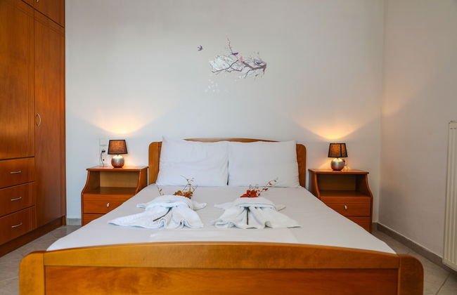 Antonia House - Photo 9