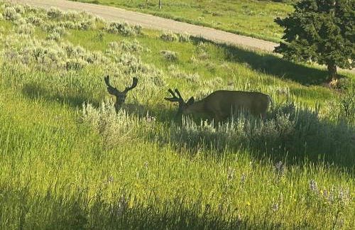 Luxury-Quintessential Montana Retreat! - Foto 30