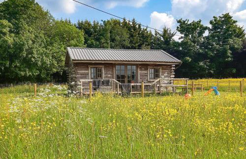 The Sunset Cabin - Photo 9