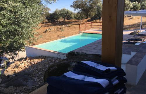 Almojanda 3 olive tree - Foto 10