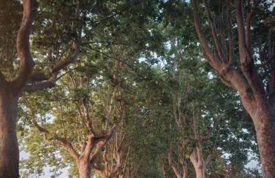 Appartement familial à Arles avec jardin et piscine - Foto 13