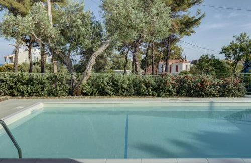 Ouzo Stone House 2, with private pool - Foto 16