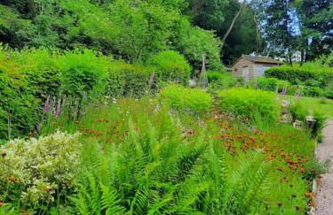 The Hen Den - Foto 14