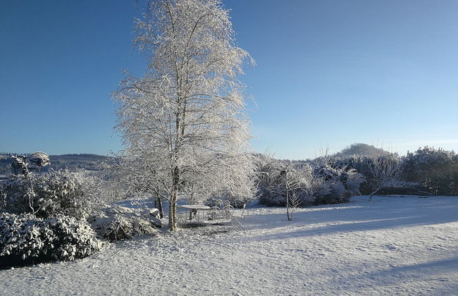 Agriturismo Tra Serra e Lago - Foto 18