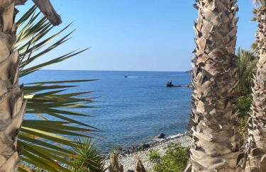 Sea Escape - Photo 17