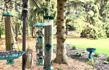 The Dorothy- Private Ravine Wooded Lot, with Game Room, Close to ALL! - Foto 21