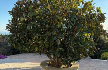 Villa Vista Alegría - Photo 22