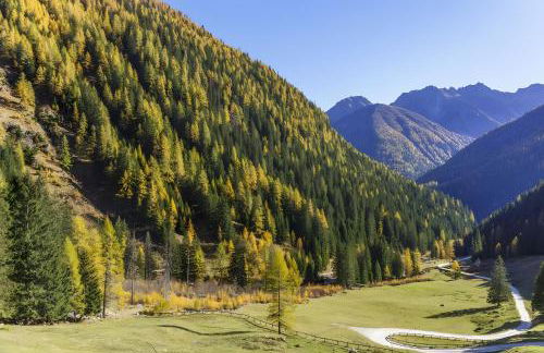 La Casa di Larice - Foto 6