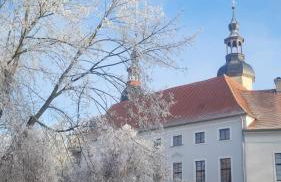 Antikhof Friebe - Foto 32