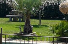 Le Faré Tchanqué Gîte en Provence parking wifi gratuit - Photo 13