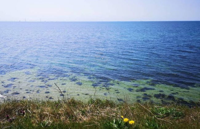 4 Person Holiday Home in Slagelse - Foto 32