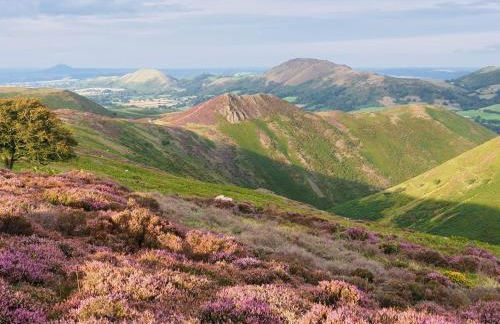 2 Bed in Ellesmere oc-94418 - Foto 33