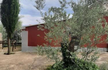 Casa Rural Garnacha de Borja has a Barbacue and Terrace - Foto 143