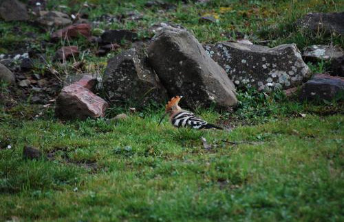 Dryades Guesthouse - Foto 46