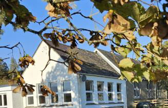 Old School, Spean Bridge - fun, friendly, relaxed - Photo 1