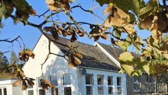 Old School, Spean Bridge - fun, friendly, relaxed - Photo 1