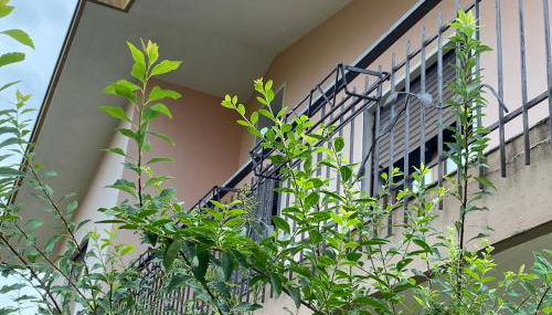 Residenza 38 - Foto 4