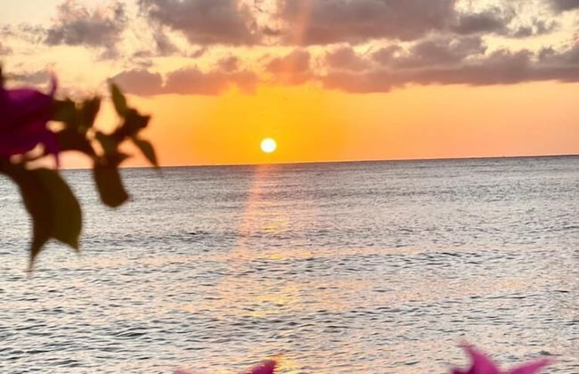 DHAUTEYA VILLA - Foto 34