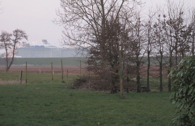 Deichschätzchen - Foto 15