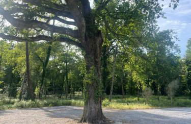 La Villa des Chênes - Foto 21