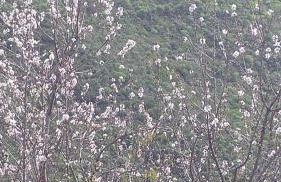 El Rincón del Senderista - Foto 27