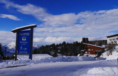 Appartement 4 personnes 32m2 Au pied des pistes- WiFI- Balcon Sud- Chamrousse 1650 - Foto 33