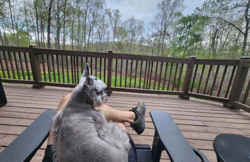 Wilderness retreat - Foto 22