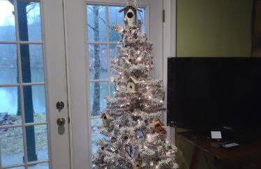 Waterfront cabin in the woods - Foto 48