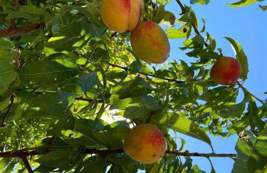 VISITAR BIOUCAS I - Casa Inteira Familiar e Grupo de Amigos - Foto 94