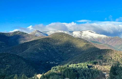Maison charmante à Valleraugue avec piscine partagée. - Foto 19