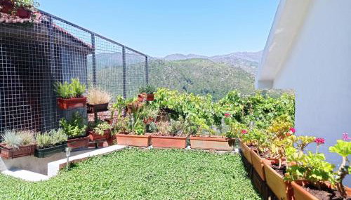 Romoa - Gerês & Cabreira - Foto 5, Garden