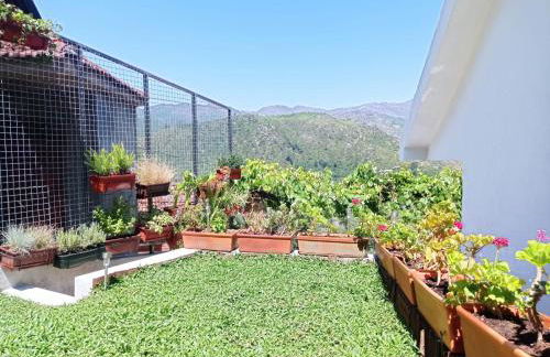 Gerês e Cabreira - Romoa Vintage Guest House - Foto 6