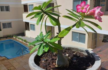 Zapipou - Apartamento aconchegante para você aproveitar o melhor de Pipa - Foto 7